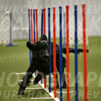 Kevin-Toni-Fern-10234