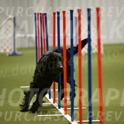 Kevin-Toni-Fern-10235