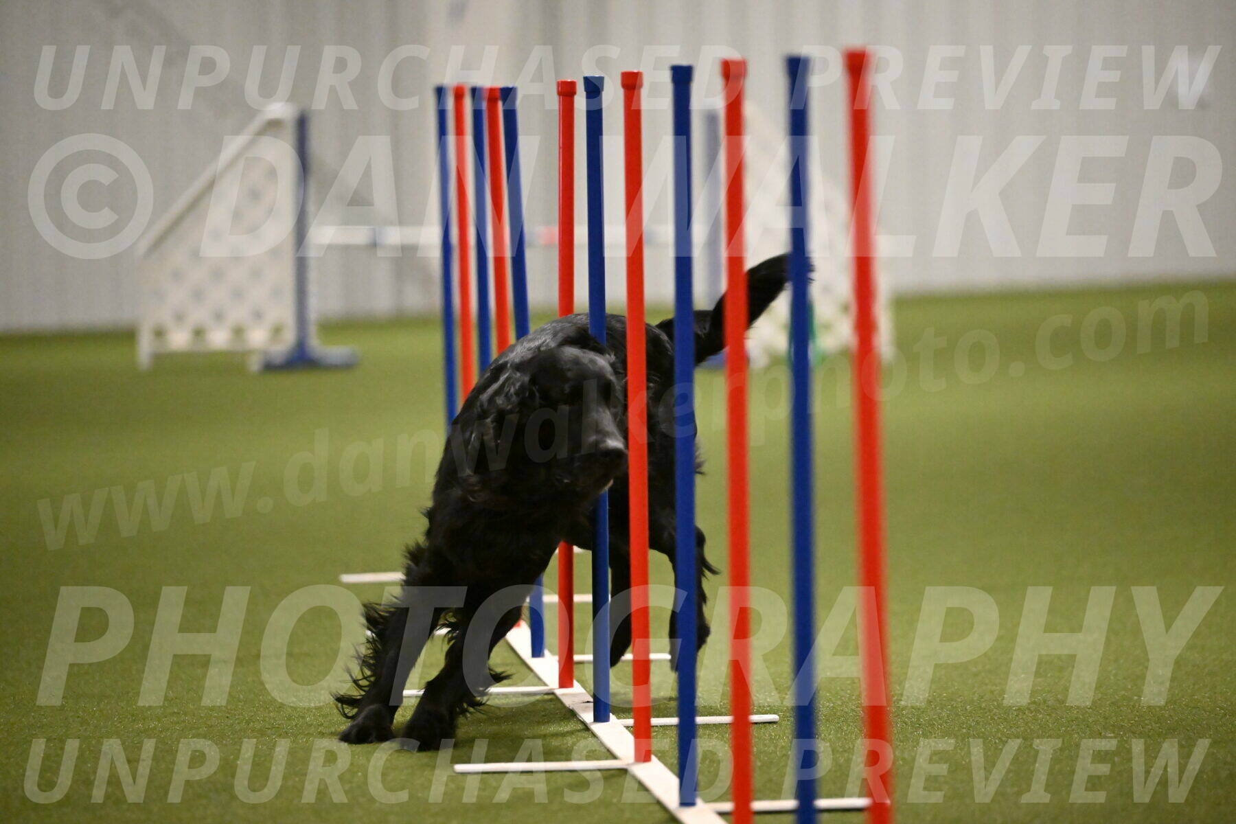 Kevin-Toni-Fern-10235