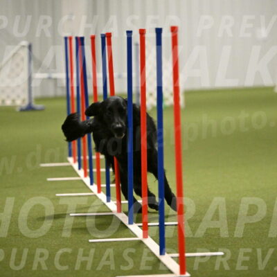 Kevin-Toni-Fern-10236