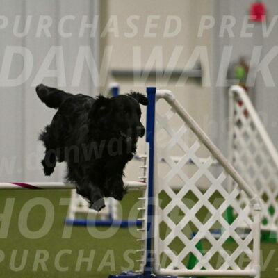 Kevin-Toni-Fern-10237