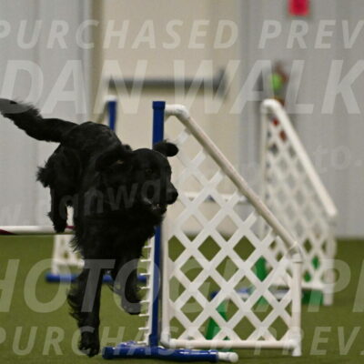 Kevin-Toni-Fern-10238