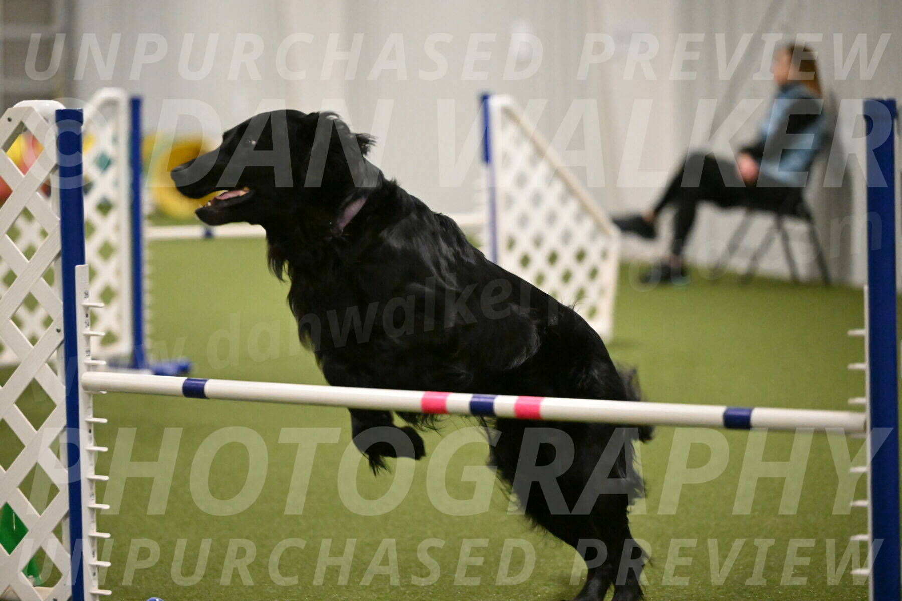 Kevin-Toni-Fern-10239