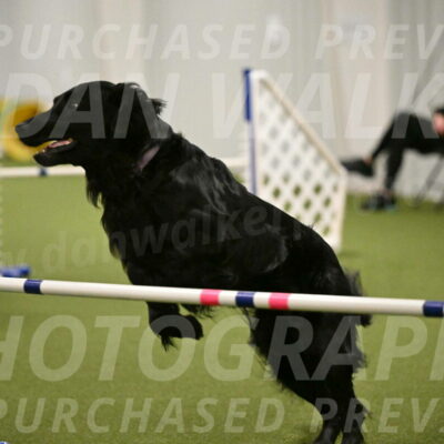 Kevin-Toni-Fern-10239