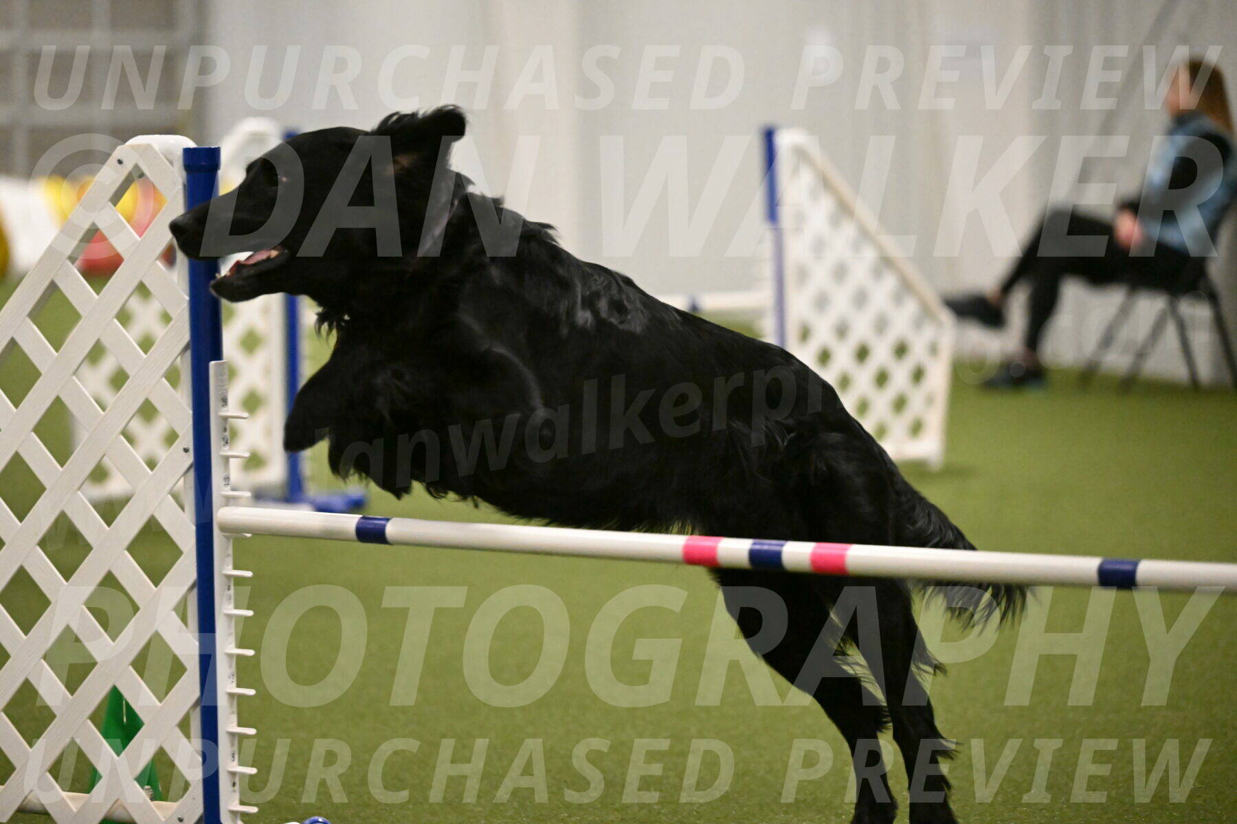 Kevin-Toni-Fern-10240