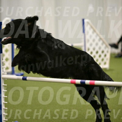 Kevin-Toni-Fern-10240