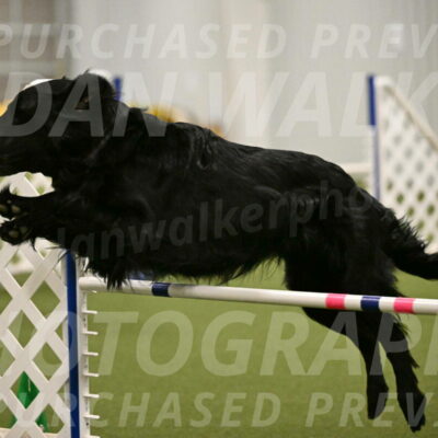 Kevin-Toni-Fern-10241