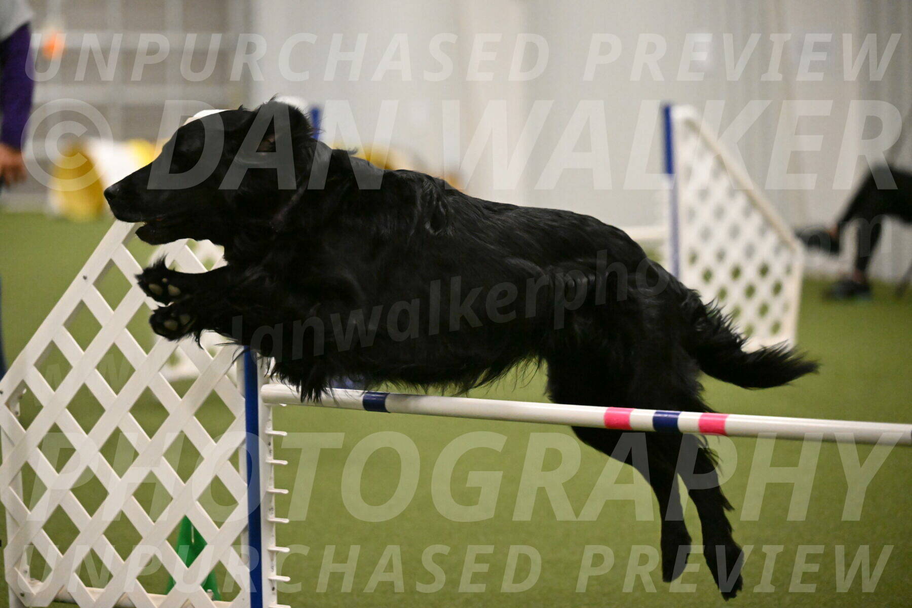 Kevin-Toni-Fern-10241