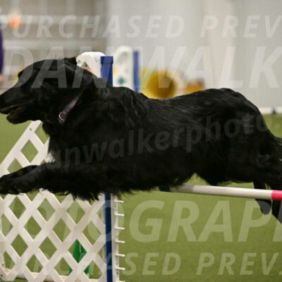 Kevin-Toni-Fern-10242