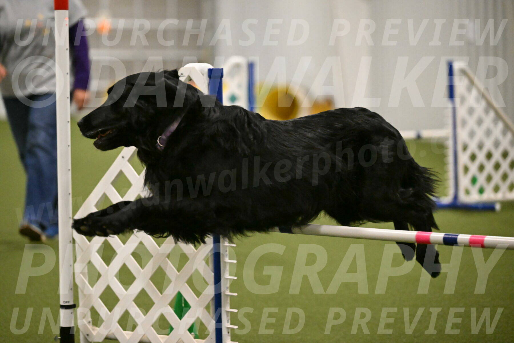 Kevin-Toni-Fern-10242