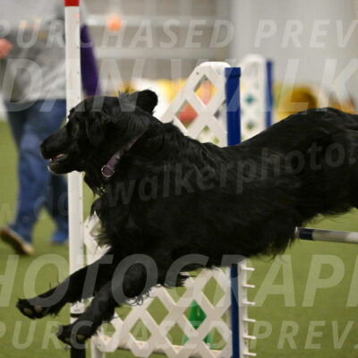 Kevin-Toni-Fern-10243