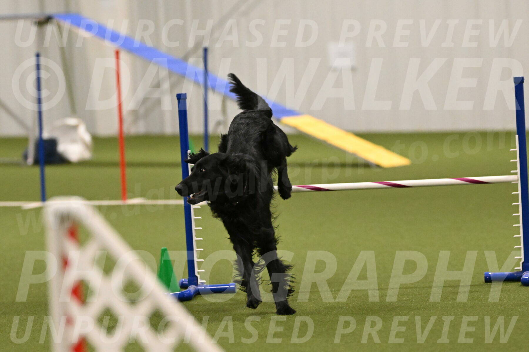 Kevin-Toni-Fern-10244