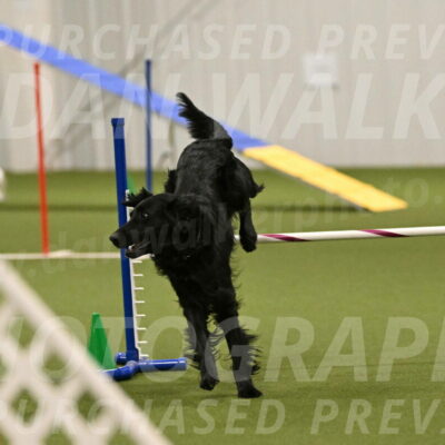 Kevin-Toni-Fern-10244