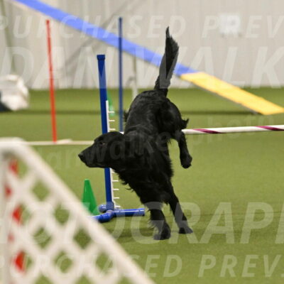 Kevin-Toni-Fern-10245