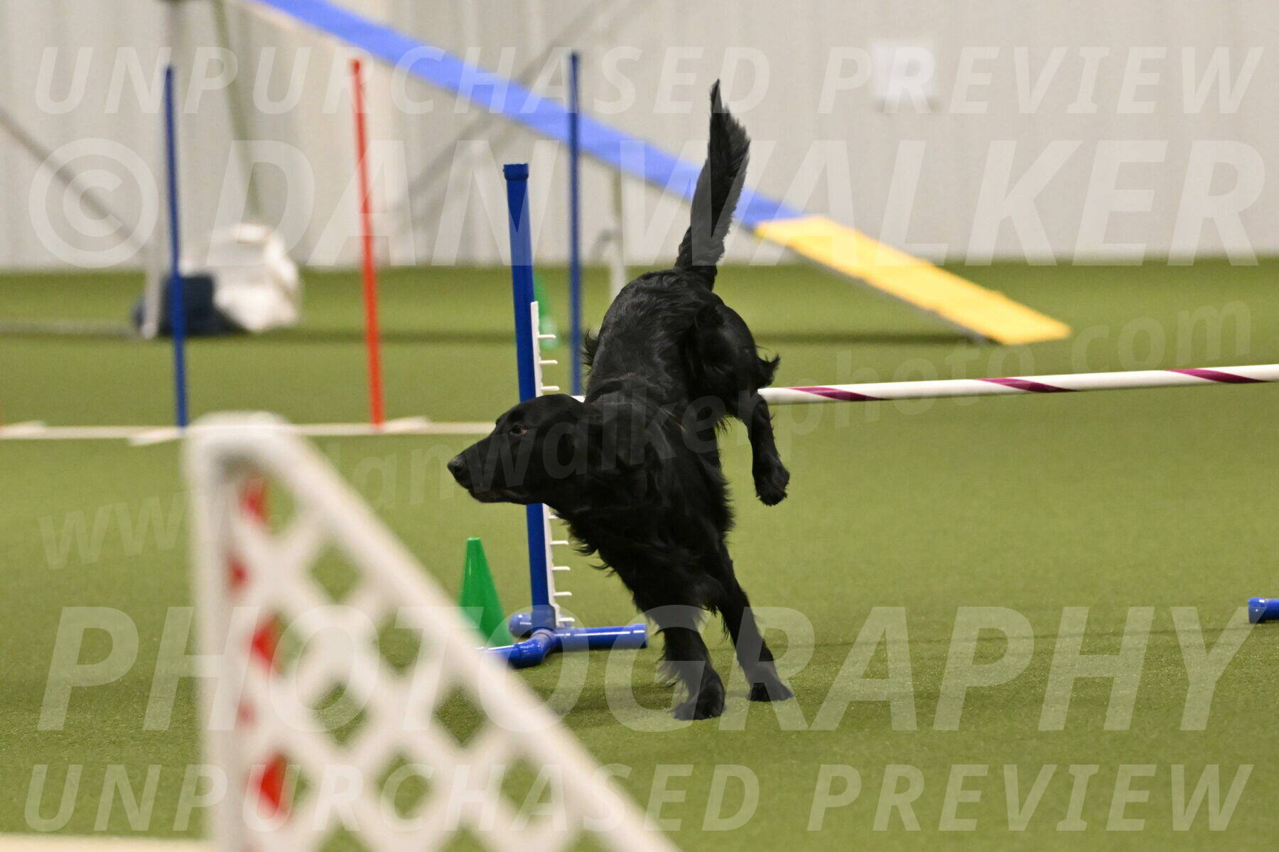 Kevin-Toni-Fern-10245