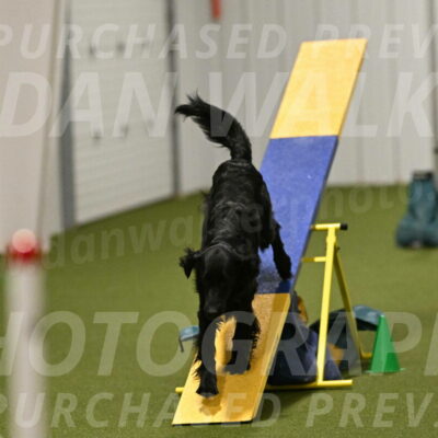 Kevin-Toni-Fern-10246