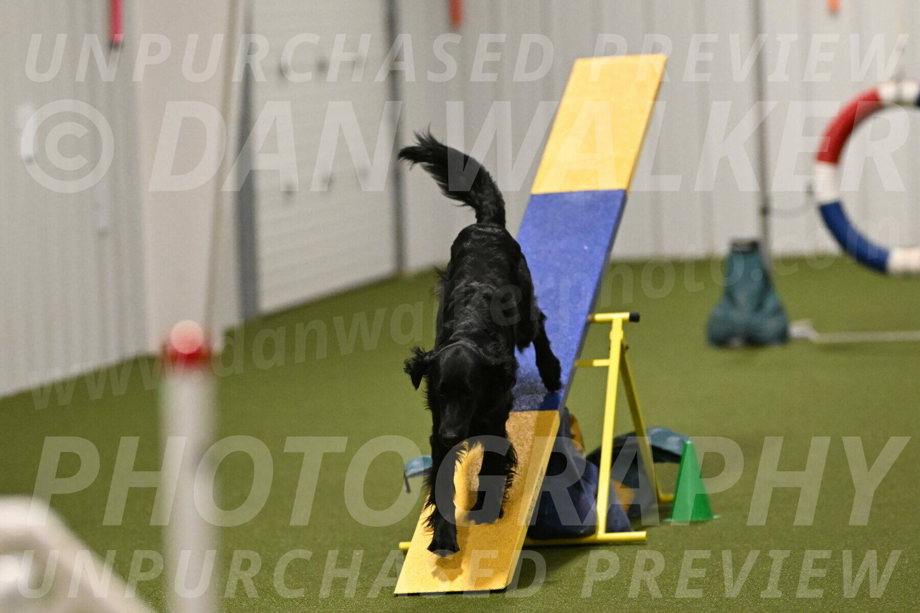 Kevin-Toni-Fern-10246