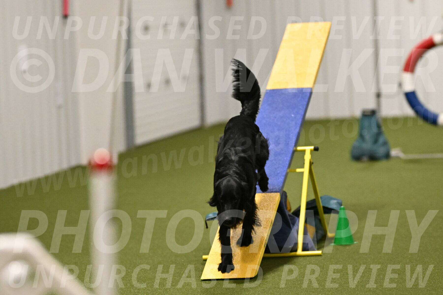 Kevin-Toni-Fern-10247