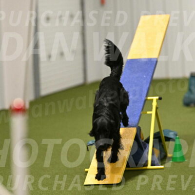 Kevin-Toni-Fern-10247