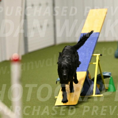 Kevin-Toni-Fern-10248