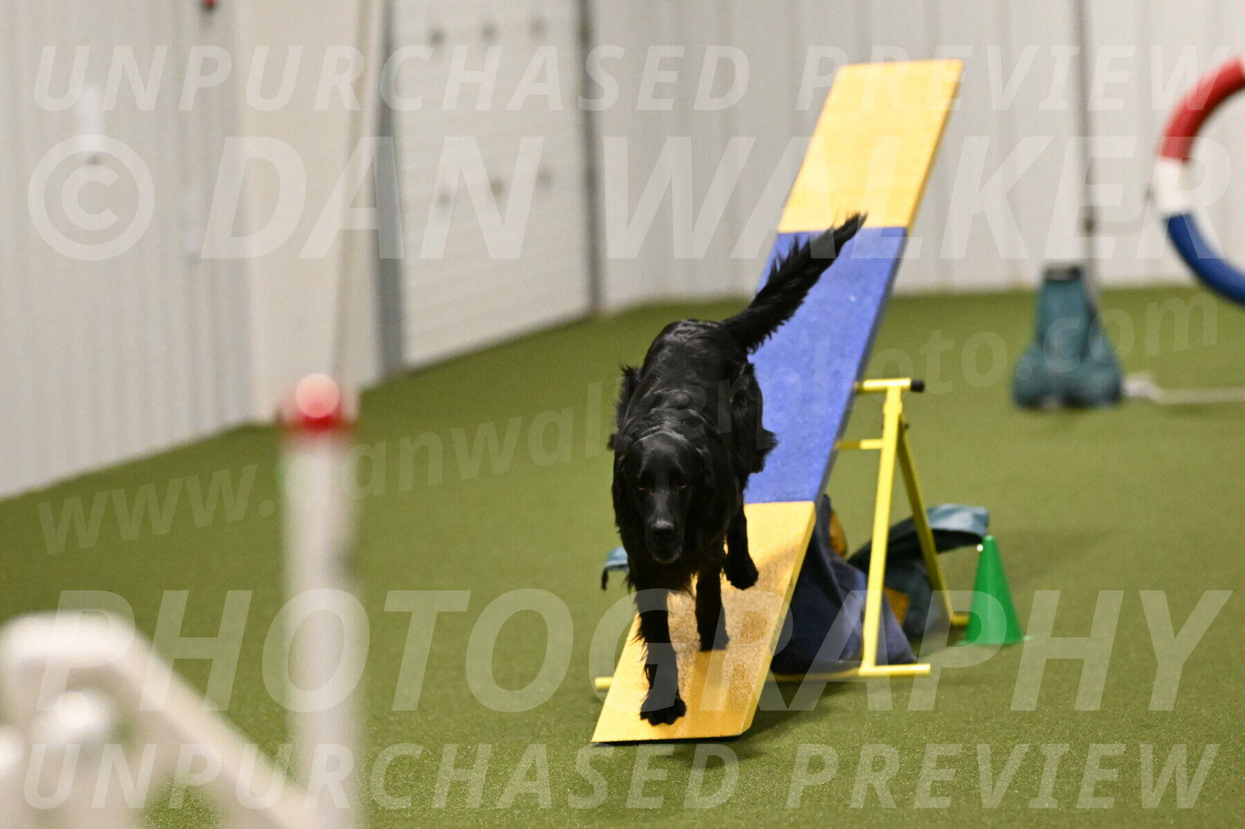 Kevin-Toni-Fern-10248