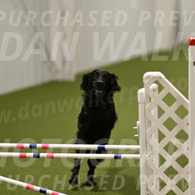 Kevin-Toni-Fern-10249