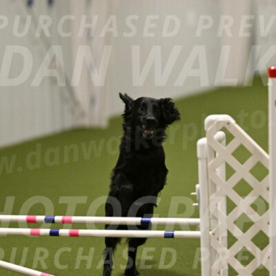 Kevin-Toni-Fern-10250