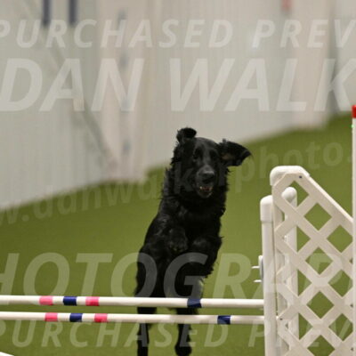 Kevin-Toni-Fern-10251