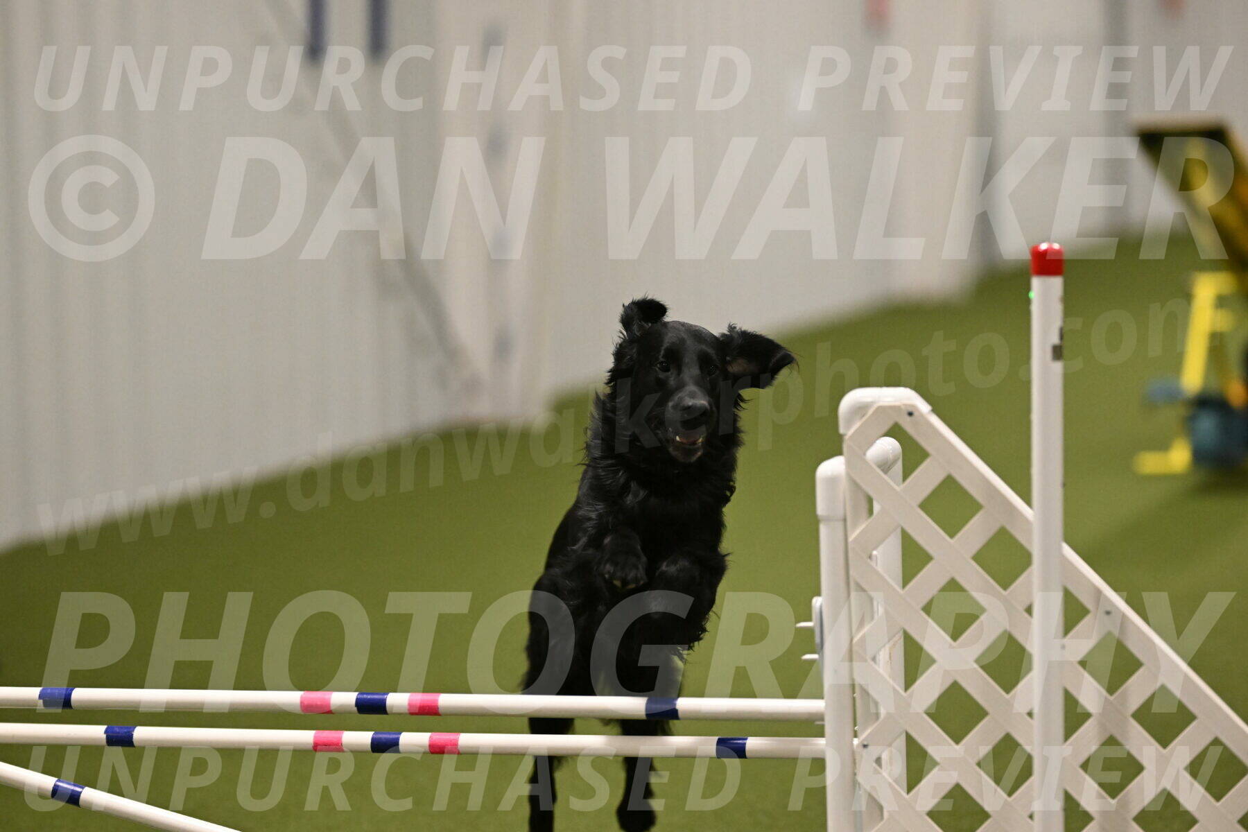 Kevin-Toni-Fern-10251