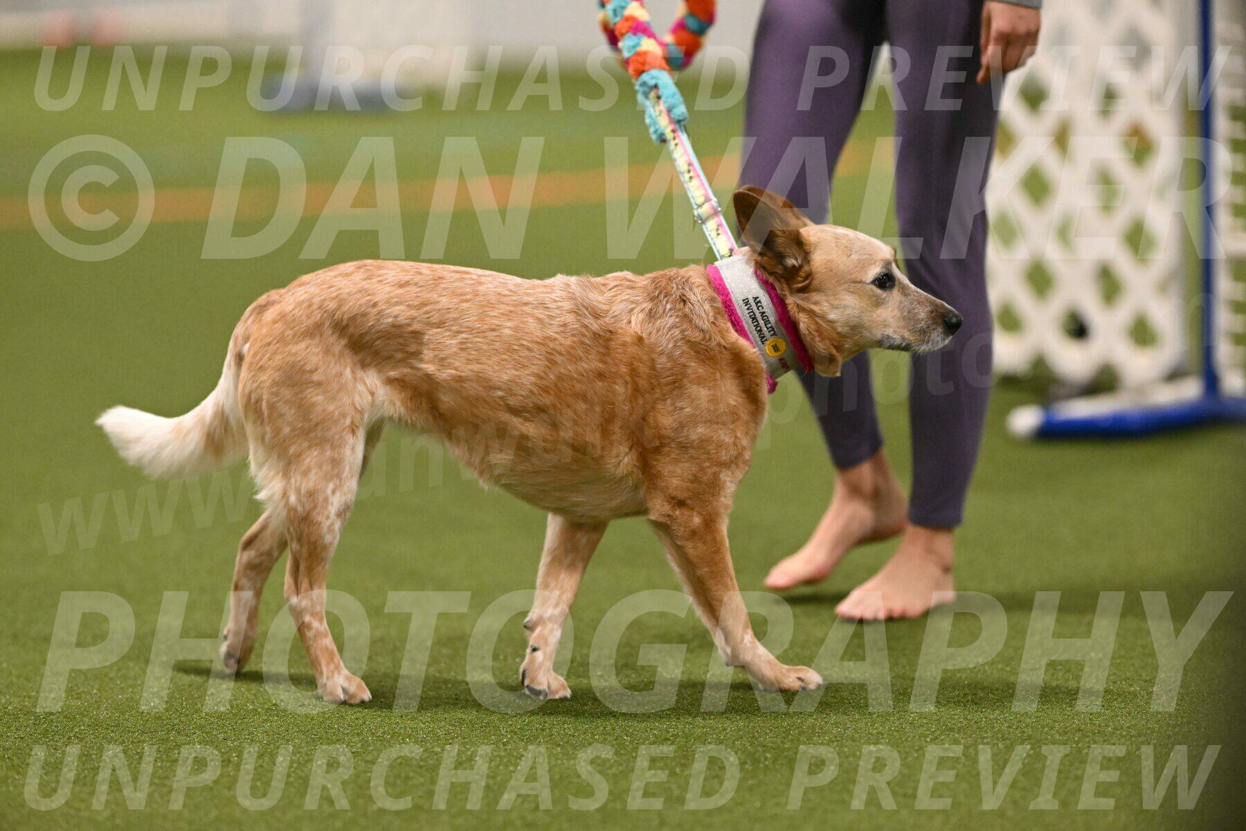 Kimber-Deanna-Rath-01521