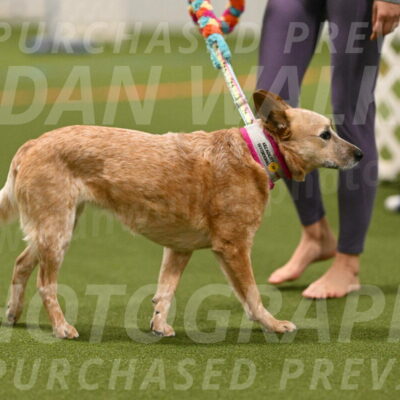 Kimber-Deanna-Rath-01521