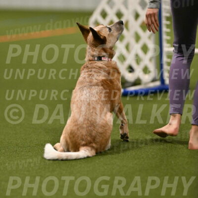 Kimber-Deanna-Rath-01522