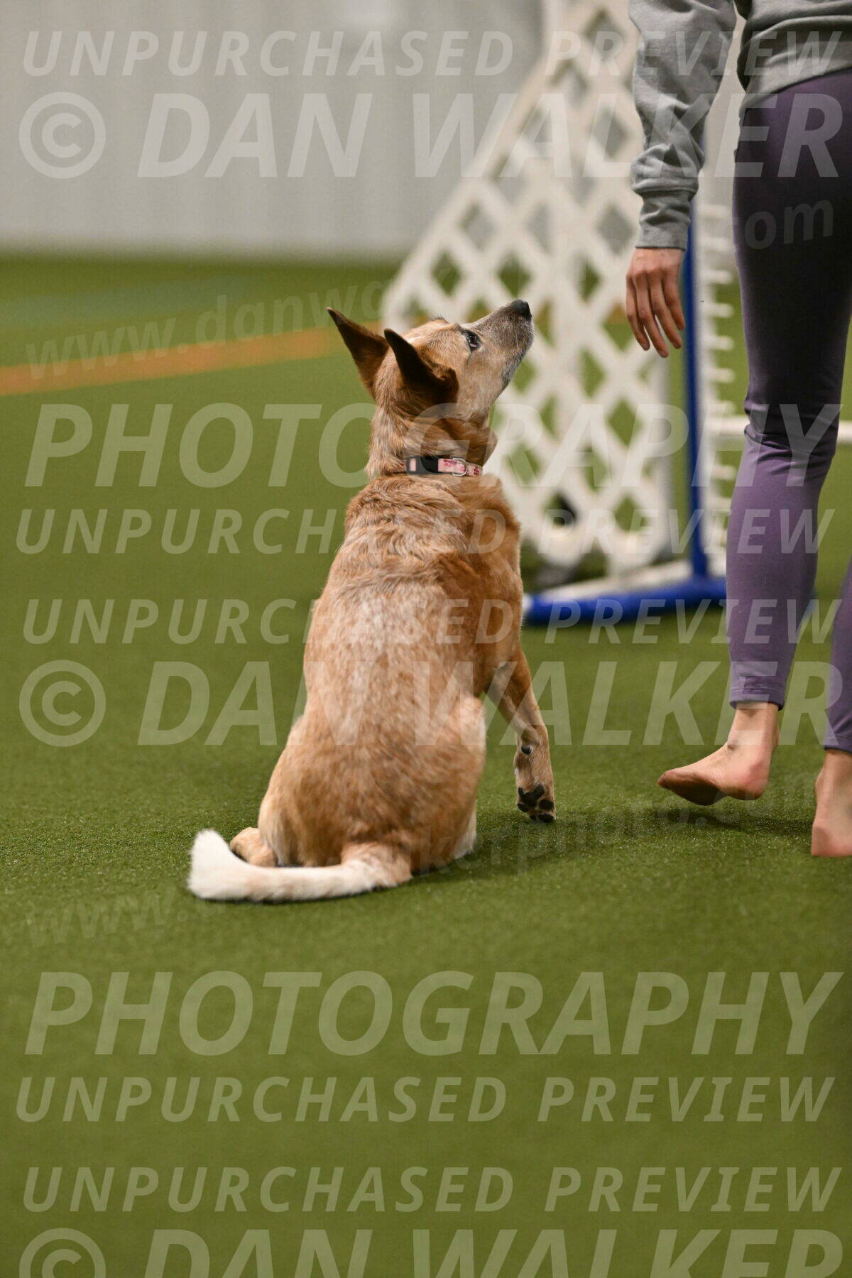 Kimber-Deanna-Rath-01522