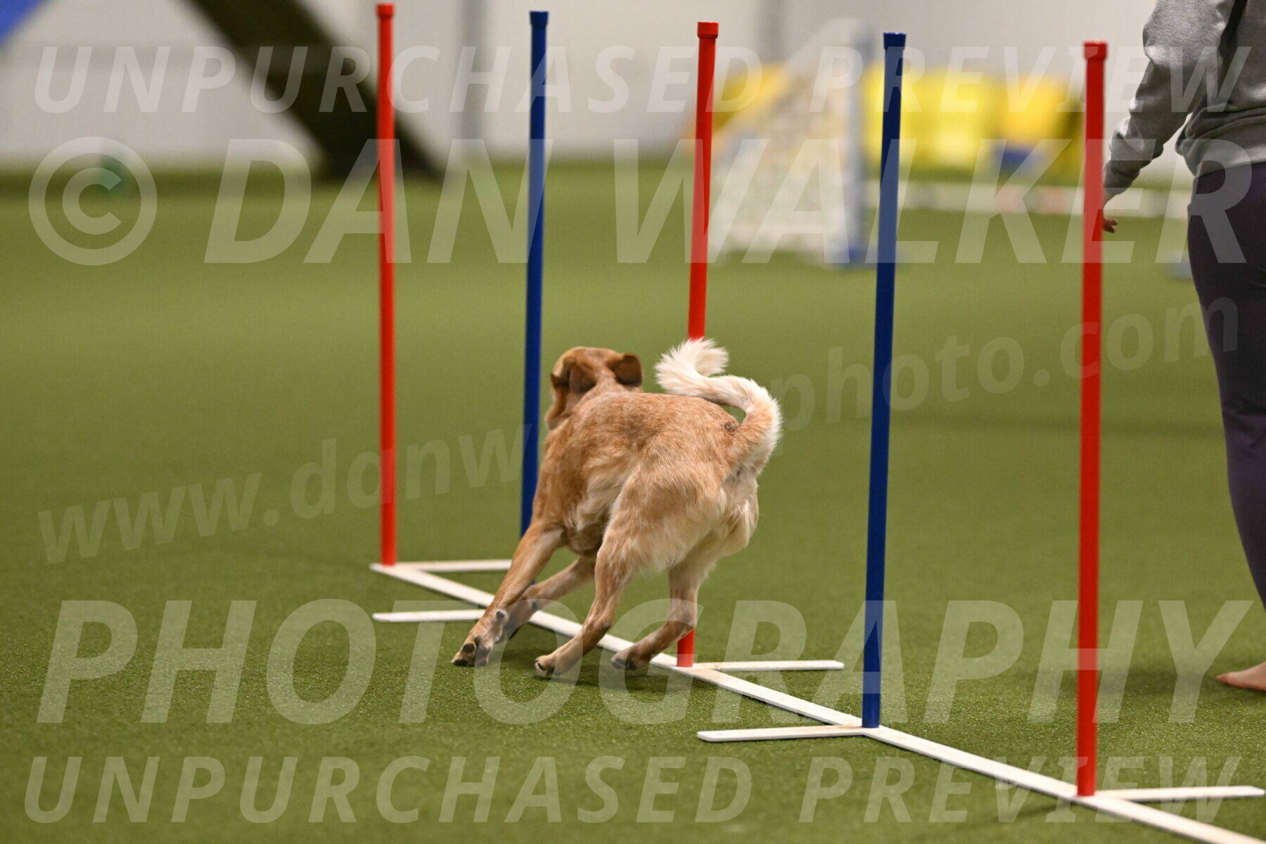 Kimber-Deanna-Rath-01523