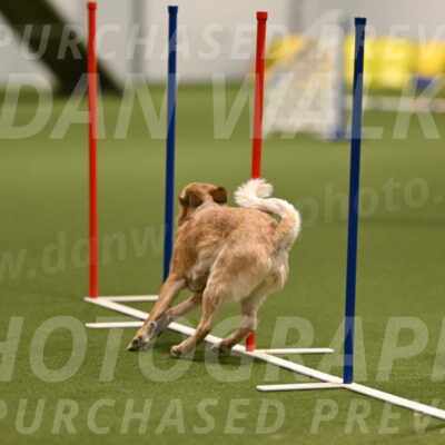 Kimber-Deanna-Rath-01523