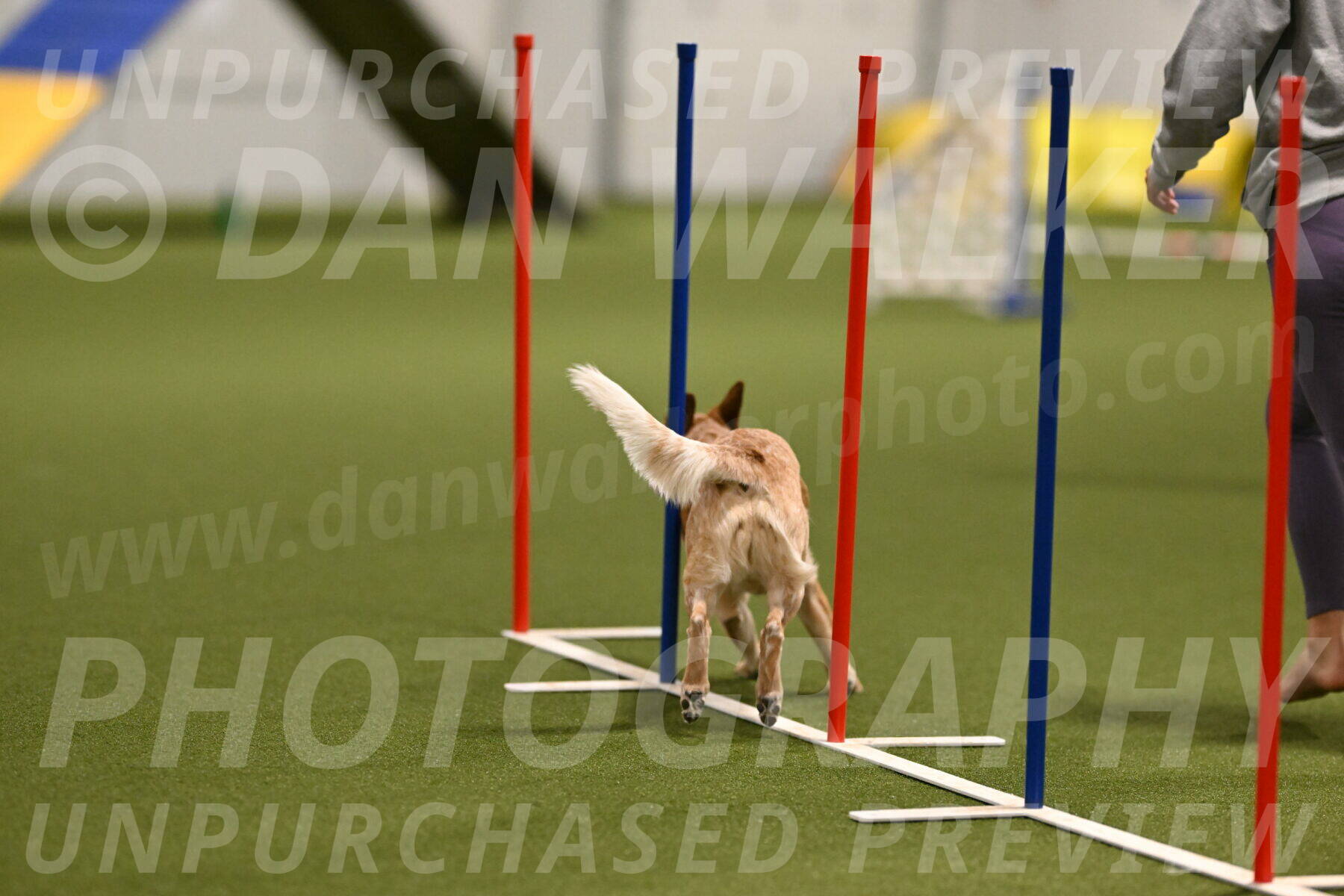 Kimber-Deanna-Rath-01525