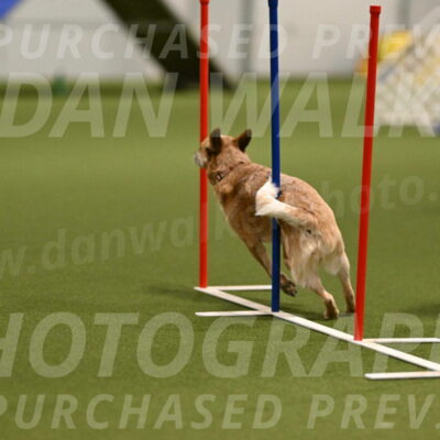 Kimber-Deanna-Rath-01526