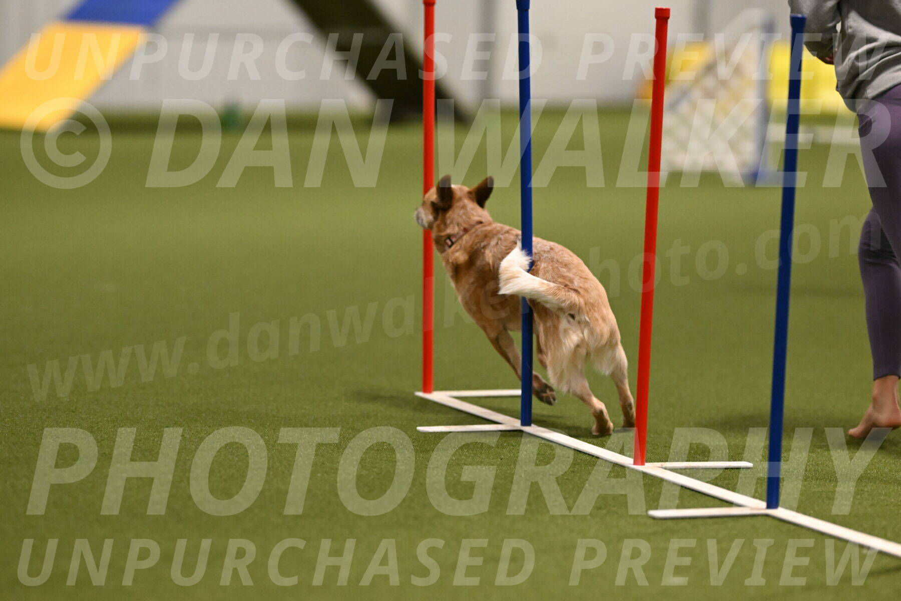 Kimber-Deanna-Rath-01526