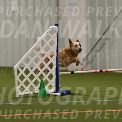 Kimber-Deanna-Rath-01527