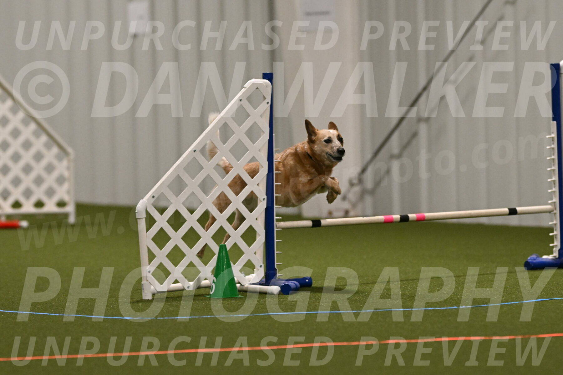 Kimber-Deanna-Rath-01527