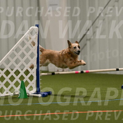 Kimber-Deanna-Rath-01528