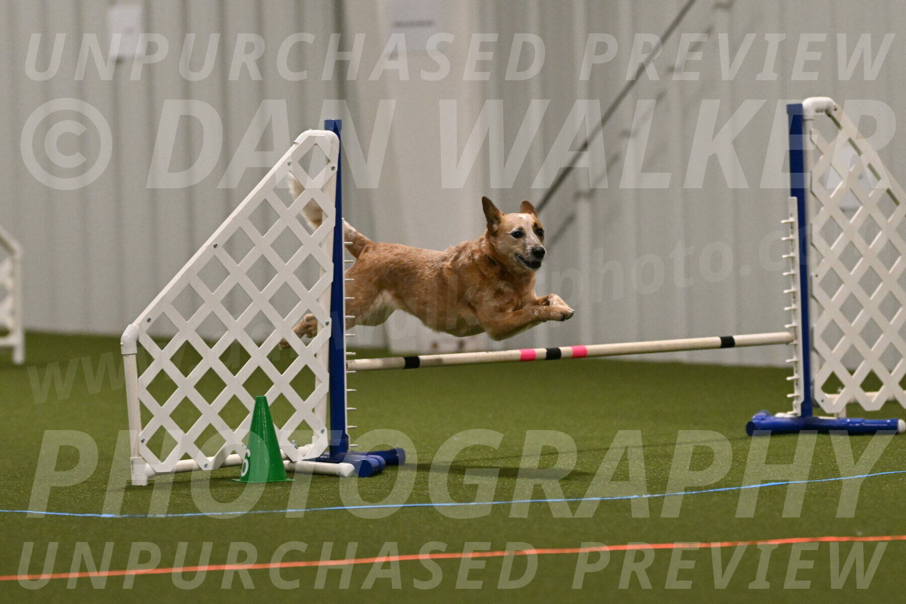 Kimber-Deanna-Rath-01528