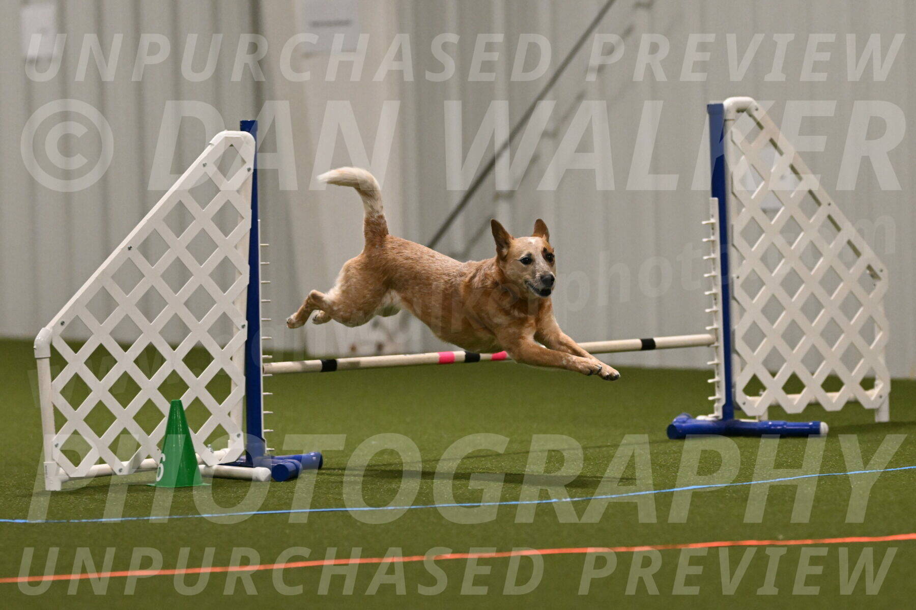 Kimber-Deanna-Rath-01529