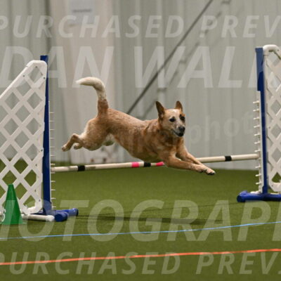 Kimber-Deanna-Rath-01529