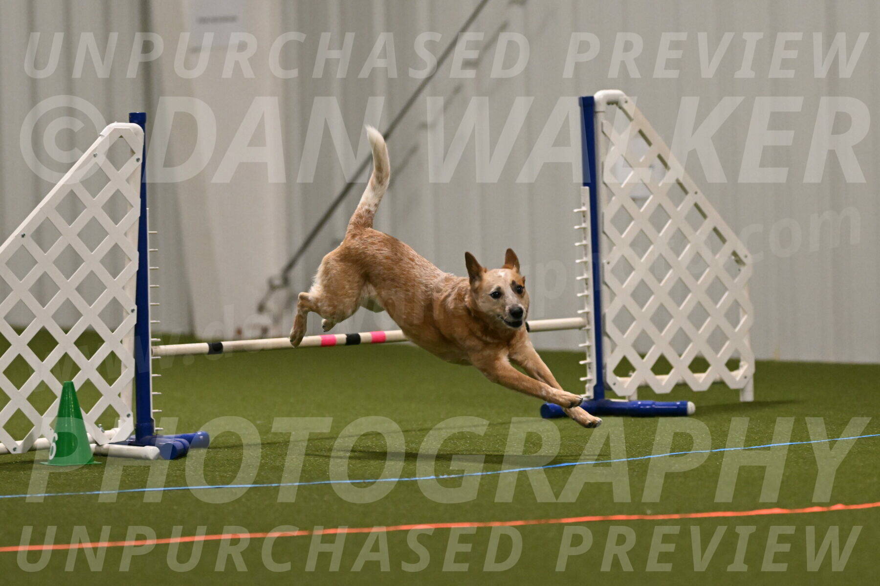 Kimber-Deanna-Rath-01530