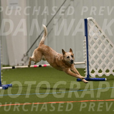 Kimber-Deanna-Rath-01530