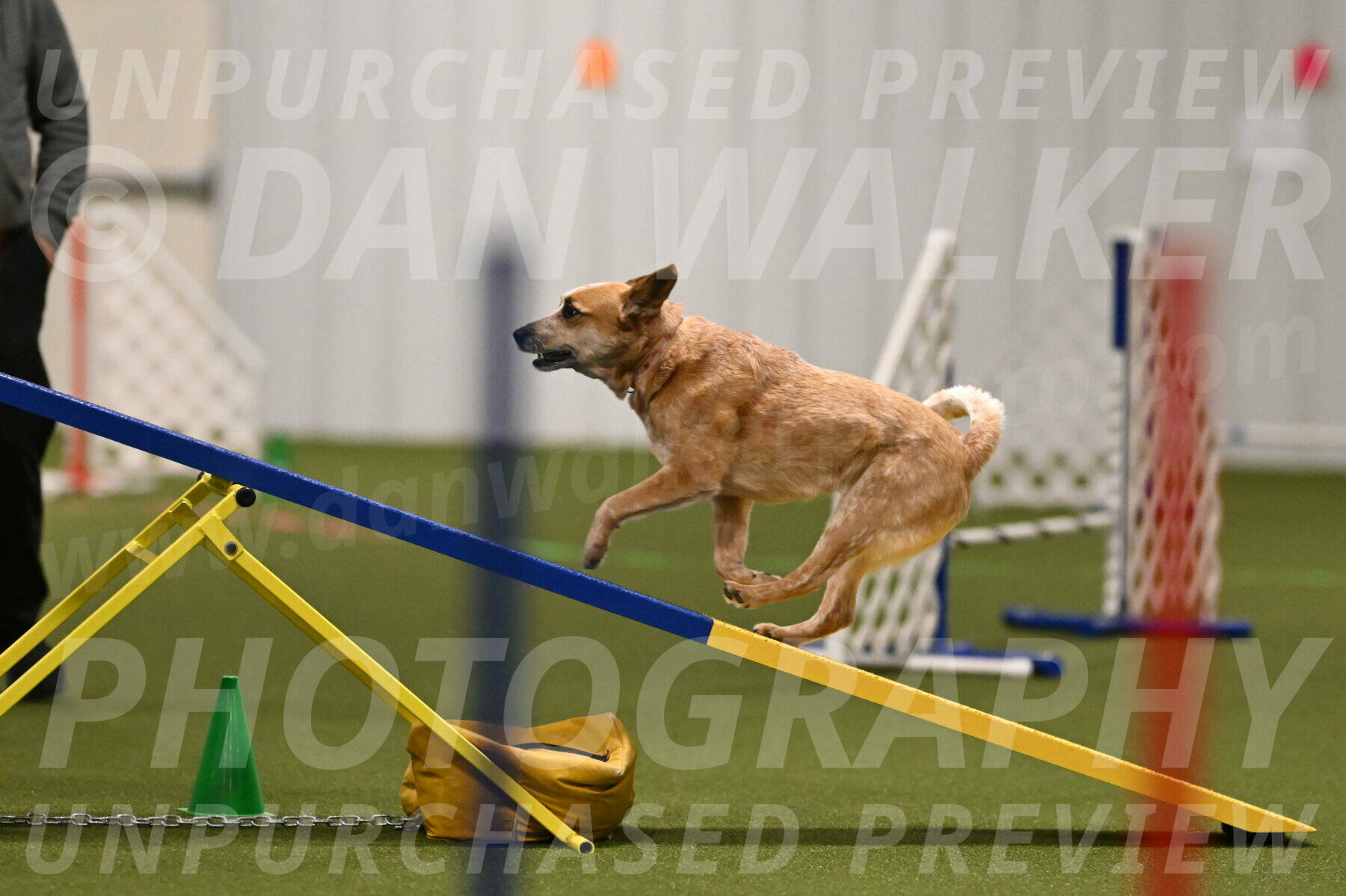 Kimber-Deanna-Rath-01531