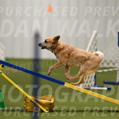 Kimber-Deanna-Rath-01531