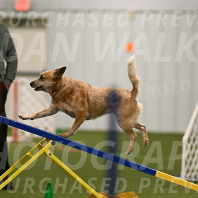 Kimber-Deanna-Rath-01532