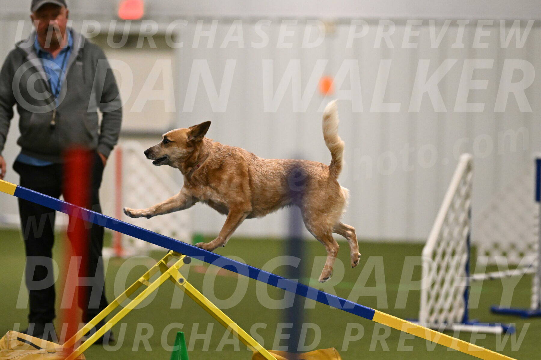 Kimber-Deanna-Rath-01532